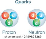 Vector illustration of up and down quarks in proton and neutron. Vector illustration isolated on white background.