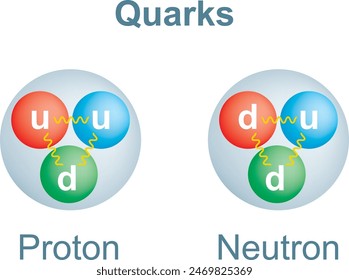 Vector illustration of up and down quarks in proton and neutron. Vector illustration isolated on white background.