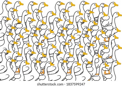 Vector illustration of dozens of swans, straight patterns for your design