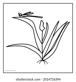 VECTOR ILLUSTRATION OF THE dragon fly on grass  FOR COLORING BOOK. suitable for your coloring book asset