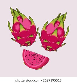 vector illustration of dragon fruit