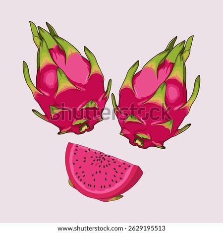vector illustration of dragon fruit