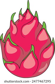 Ilustración vectorial de fruta del dragón, hecha en Cirebon, 19 de junio de 2024