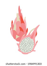 Ilustración vectorial de la fruta del dragón, sobre un fondo blanco. Frutos dibujados a mano en colores vivos. Idóneo para ilustrar la alimentación sana, las recetas, la granja local. Tarjeta con fruta de dragón.