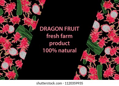 vector illustration of dragon fruit/pitahaya and cactus design background black and fruit and text fresh farm product 100% natural EPS10