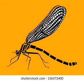 Vector illustration of dragonfly