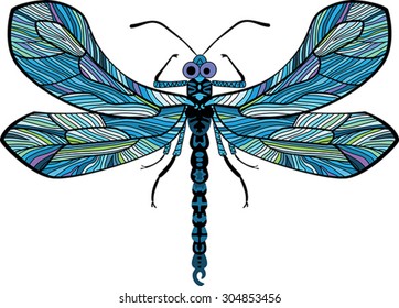 The vector illustration of dragonfly