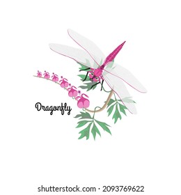 Vektorgrafik mit Libellen und Blumen einzeln auf weißem Hintergrund.