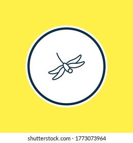 Vector illustration of dragonfly icon line. Beautiful zoo element also can be used as damselfly icon element.