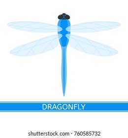 Vector illustration of dragonfly isolated on white background. Damselfly in flat style.