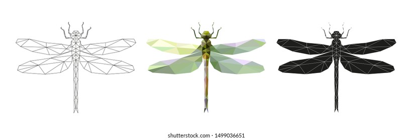 Vector illustration of a dragonfly in low poly style. 3 isolated illustrations on a white background: linear, color, silhouette. Geometric dragonfly made of triangles. Polygonal illustration.