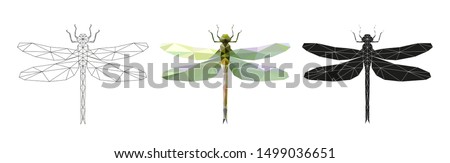 Vector illustration of a dragonfly in low poly style. 3 isolated illustrations on a white background: linear, color, silhouette. Geometric dragonfly made of triangles. Polygonal illustration.