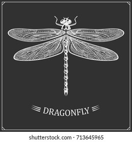  Vector illustration of a Dragonfly on black background. 