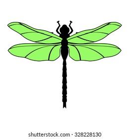 vector illustration of dragonfly, top view