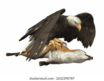 Vector illustration of a dramatic scene showing an eagle attacking a fox in natural wildlife.