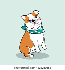 Vector illustration draw character cute pug dog,bulldog with beauty scarf.Doodle cartoon style.