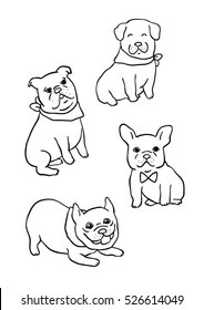 Vector illustration draw outline of pug dog,bulldog,animal.Doodle cartoon style.