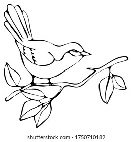 Featured image of post Drawing Simple Pictures Of Birds : Draw this cute bird by following this drawing lesson.