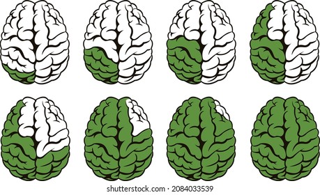vector illustration, drawing brain, lines, human organ