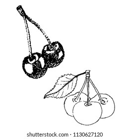 Vector illustration of a drawing of a cherry pencil drawing