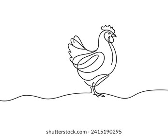 Vector illustration, drawing of a chicken on a white background.