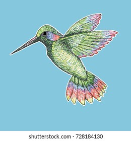 A vector illustration of a drawing of a  colorful flying hummingbird