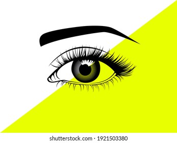 Vector illustration drawing of an detailed eye isolated on White and yellow background