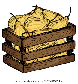 ilustración vectorial, dibujar en forma de doodle en color brillante, frutos, peras en una caja, aislar sobre un fondo blanco