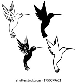 Vector illustration, drawing of a hummingbird, template, black tattoo image, isolate on a white background