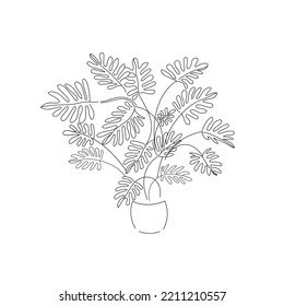 línea de dibujo de ilustración vectorial planta de origen Philodendron