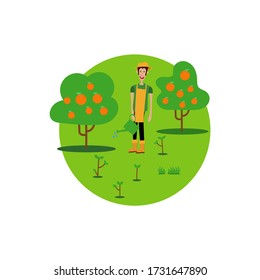 Vector illustration. Drawing of a man picking oranges.