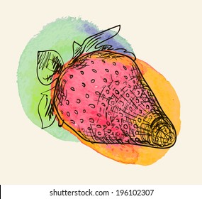Vector illustration drawing of organic a strawberries