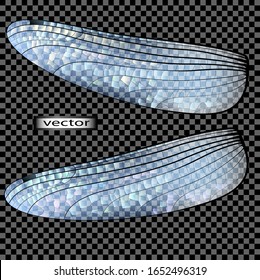 Vector illustration drawing realistic iridescent light shiny transparent dragonfly wings for a dark background