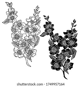 Vector illustration, drawing of sakura flowers, template, black image of tattoo, isolate on a white background