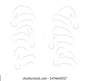 vector illustration drawing for the santas hats with white background