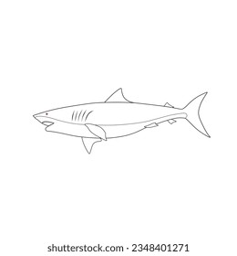 vector illustration drawing, shark on white background