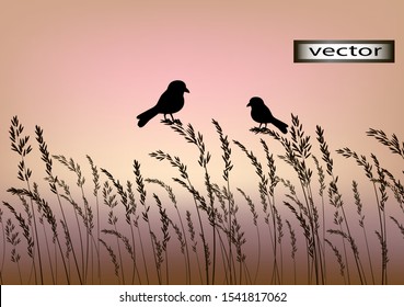 Vector illustration drawing silhouettes of birds sitting on the grass on the background of sunset at dusk