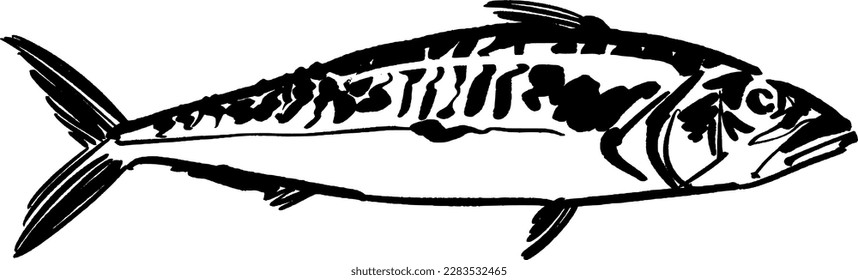 vector illustration drawing of a sketch of a fish