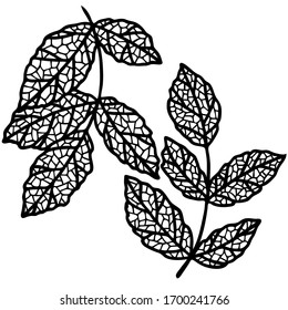 ilustración vectorial, dibujo de hojas estilizadas en negro, doodle, aislamiento sobre fondo blanco, plantilla
