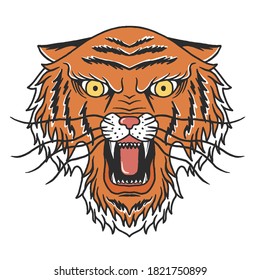 Vector illustration of Drawing Tiger head. Tiger head vector illustration. Drawing Tiger head.