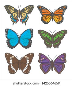 Vector illustration drawings of different butterflies, including 'White Admiral', 'Old World Swallowtail', 'Monarch Butterfly', 'Peleides Blue Morpho', 'Malachite Butterfly' and 'Agathina Emperor'