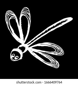 
Vector illustration. Drawn abstract dragonfly insect on a black background.