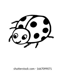 
Vector illustration. Drawn abstract insect ladybug on a white background.