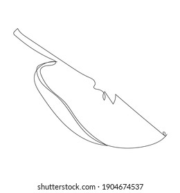 vector illustration of drawn apple, line art apple slices black line on white background