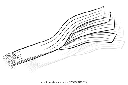 vector illustration of a drawn cartoon leek stick