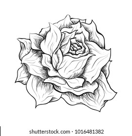 Ilustración vectorial dibujada en estilo tradicional de pluma y tinta. Conveniente para el tatuaje