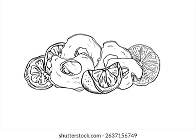 Vector illustration of dried apple slices with lemon and orange citrus heap. Autumn monochrome composition for food packaging, winter beverage branding, festive decoration, cozy seasonal design.