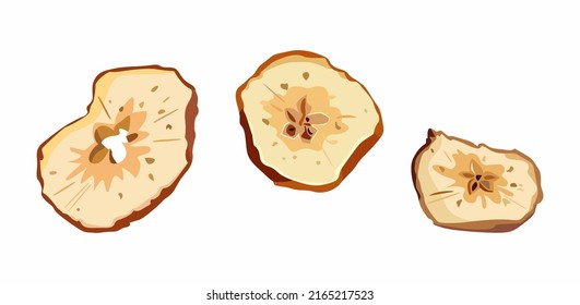 Vector illustration of dried apples, sliced dried fruits. Slices of apple chips, baked fruits isolated on white background. Healthy food and vegan diet. It can be used for packaging design and labels