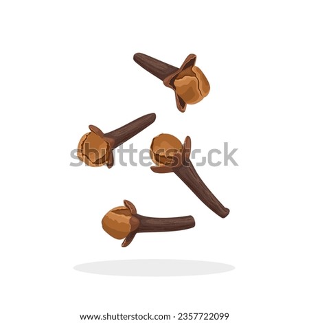 Vector illustration, dried cloves, spice from the flower bud of Syzygium aromaticum, isolated on white background.