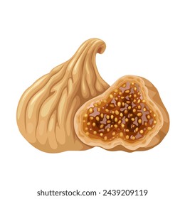 Vector illustration, dried figs, isolated on white background.